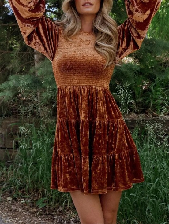 Baltic Born Dresses & Skirts - Baltic Born Crushed Velvet Kelee Dress
